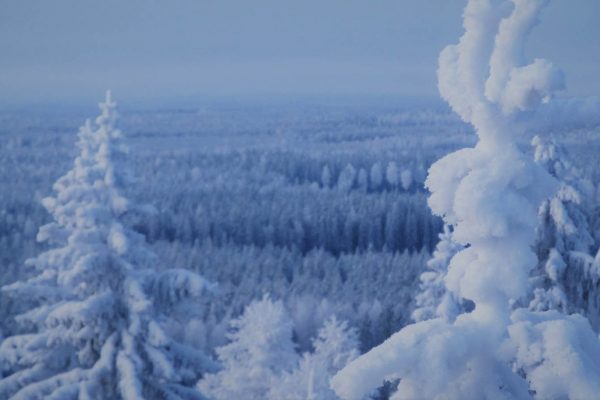 Tammikuun majoitustarjous